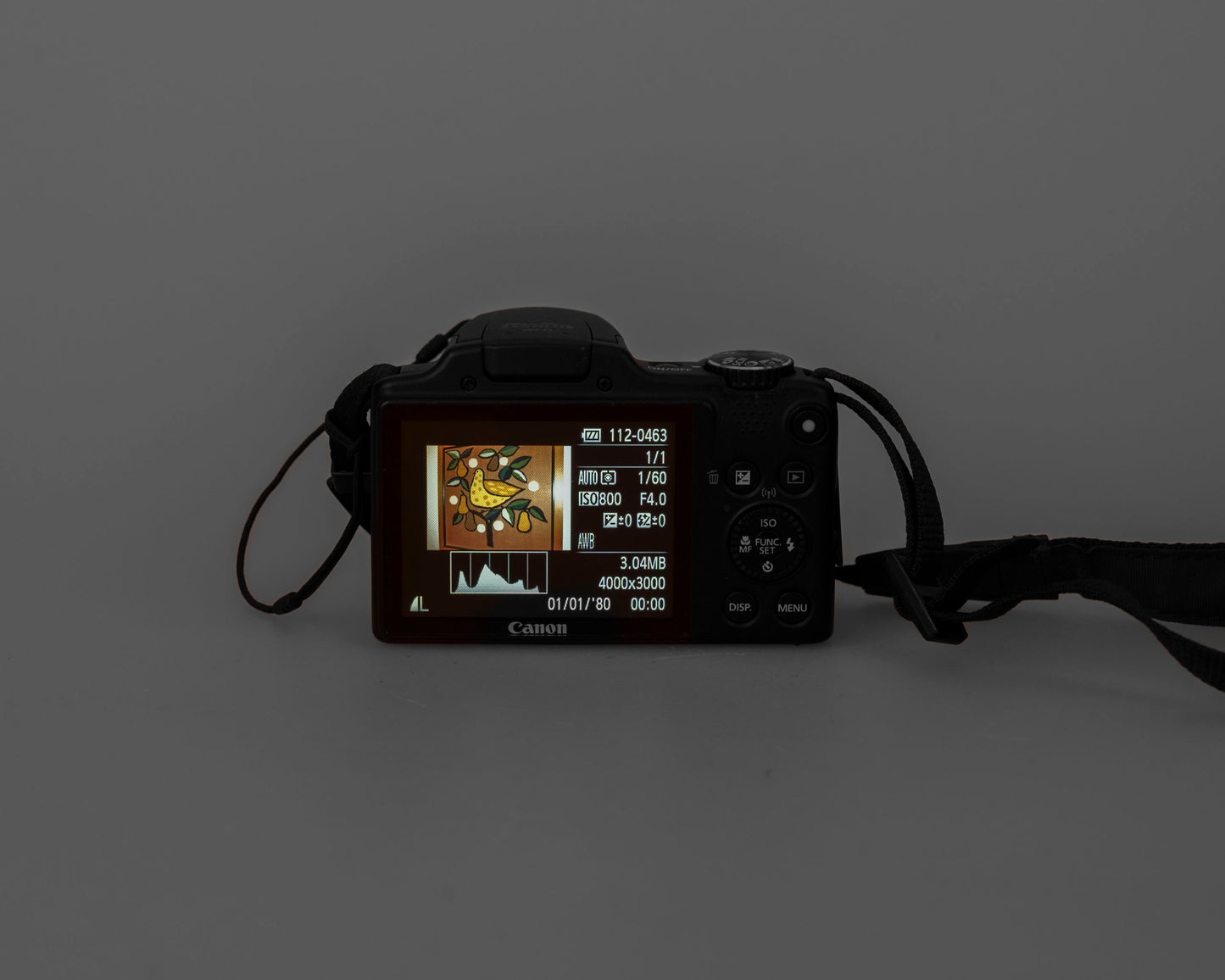 Appareil photo numérique Canon PowerShot SX510 HS 20,1 MP avec carte SD 4 Go + batterie + chargeur