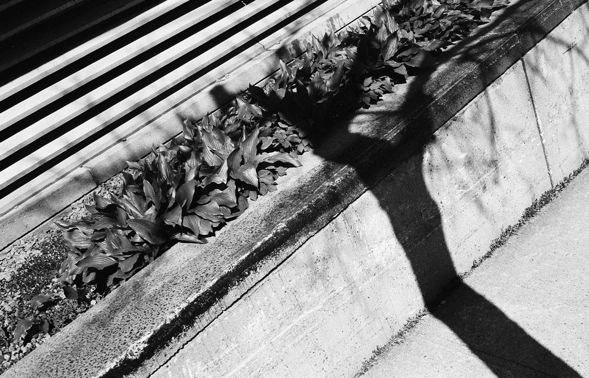 Appareil photo télémétrique 35 mm Canon Canonet 28 (numéro de série D94287) | pellicule 🎞 testée