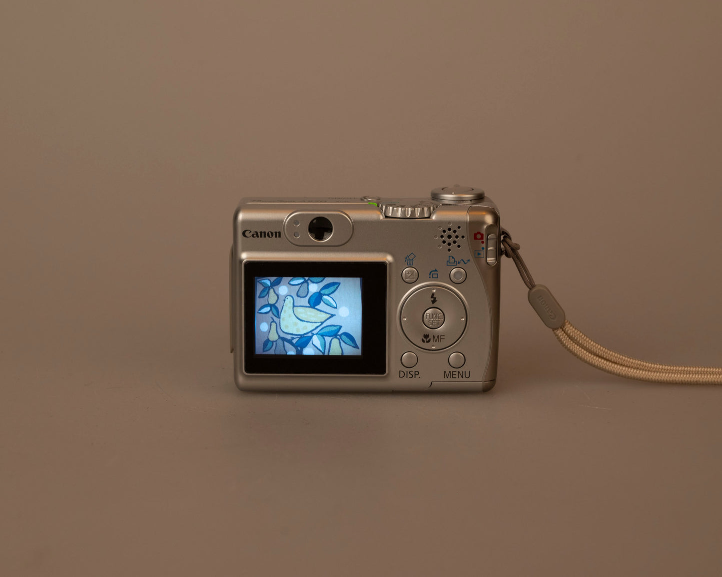 Canon Powershot A530 5MP CCD sensor digicam w/ 2GB SD (uses AA batteries; serial 3052203507)