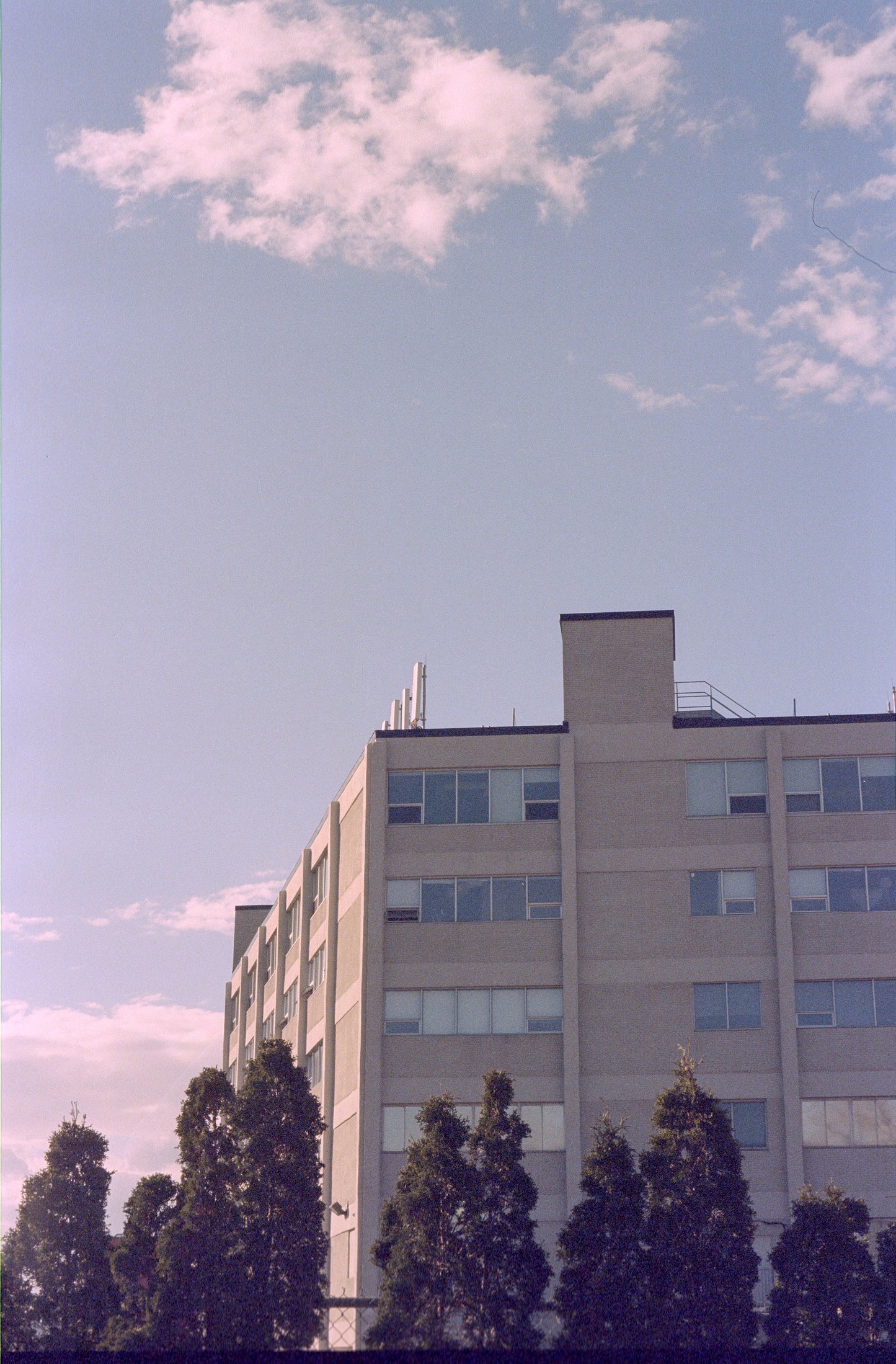 Konica FT-1 35mm film SLR camera w/Hexanon AR 50mm f1.8 lens (serial 519878) | film🎞tested