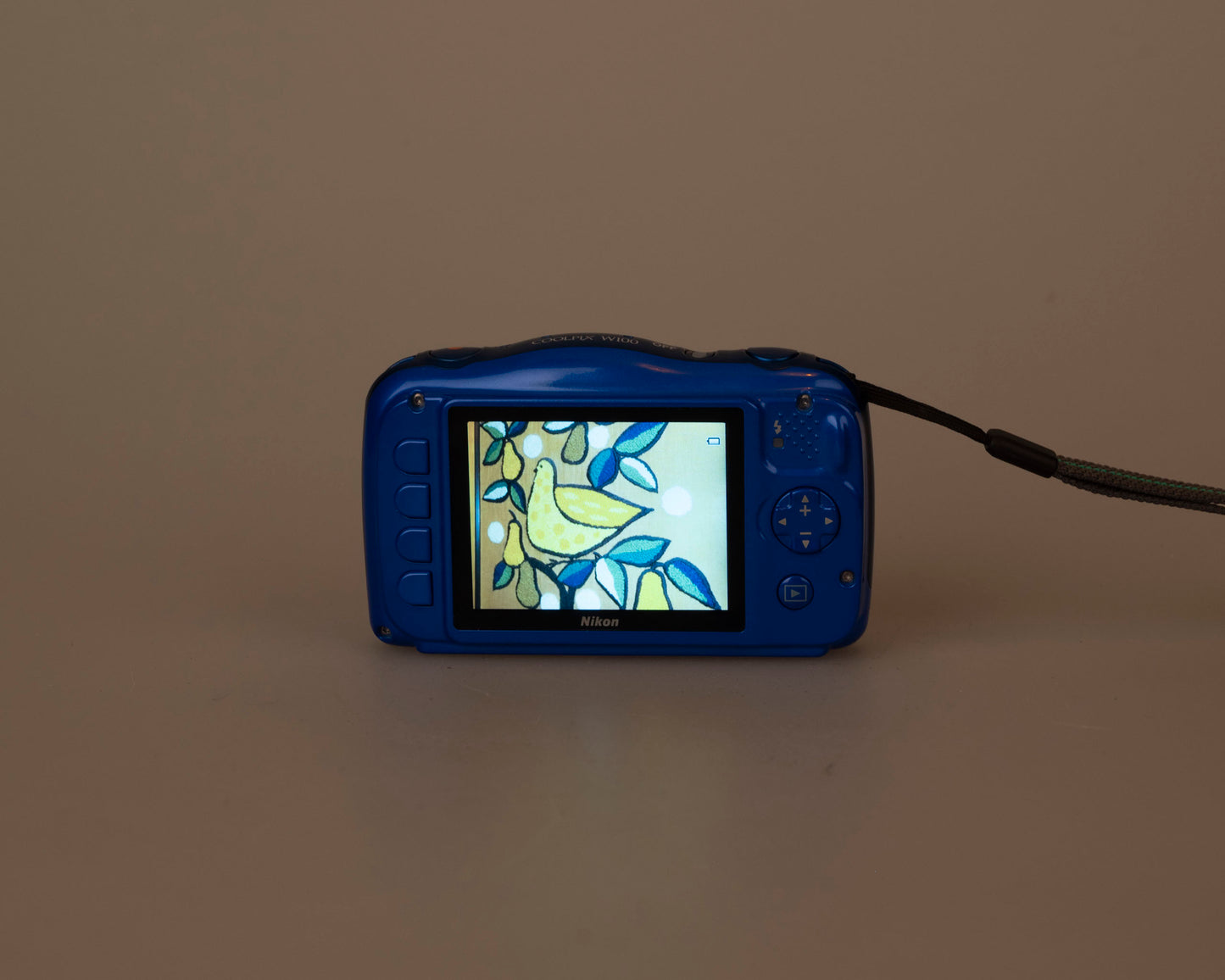 Nikon Coolpix W100 13.2 MP digicam w/ 8GB SD card + battery + charger