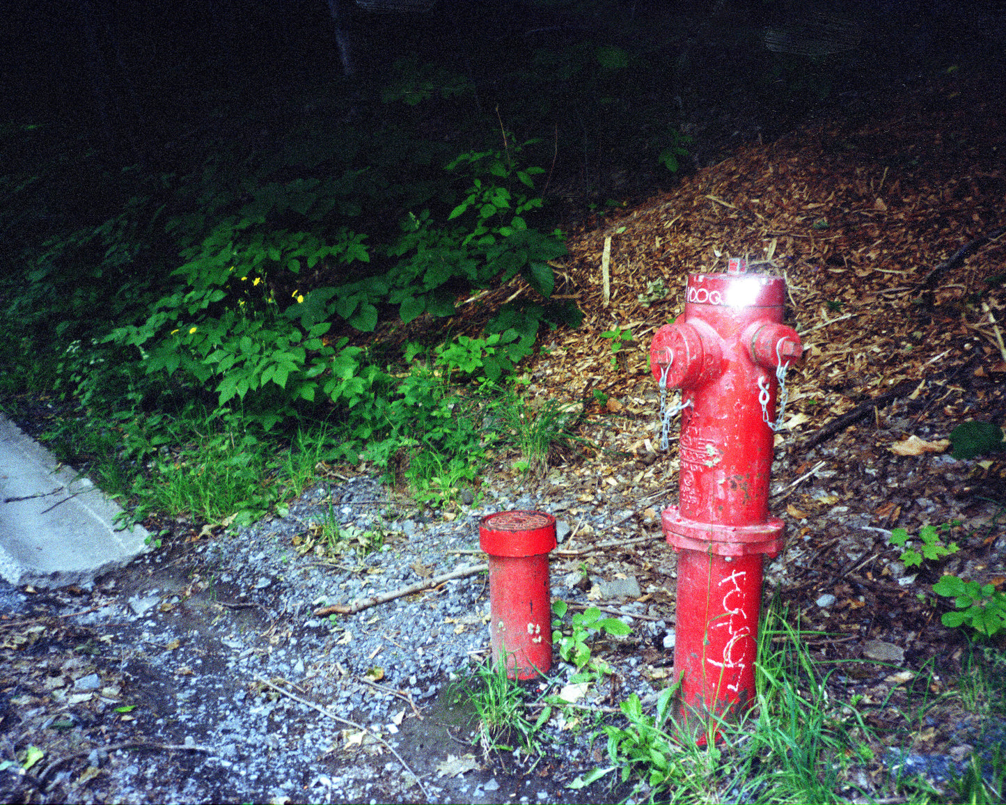 Olympus Stylus 120 (aka mju-III 120) 35mm film camera w/ case (serial 4740279)