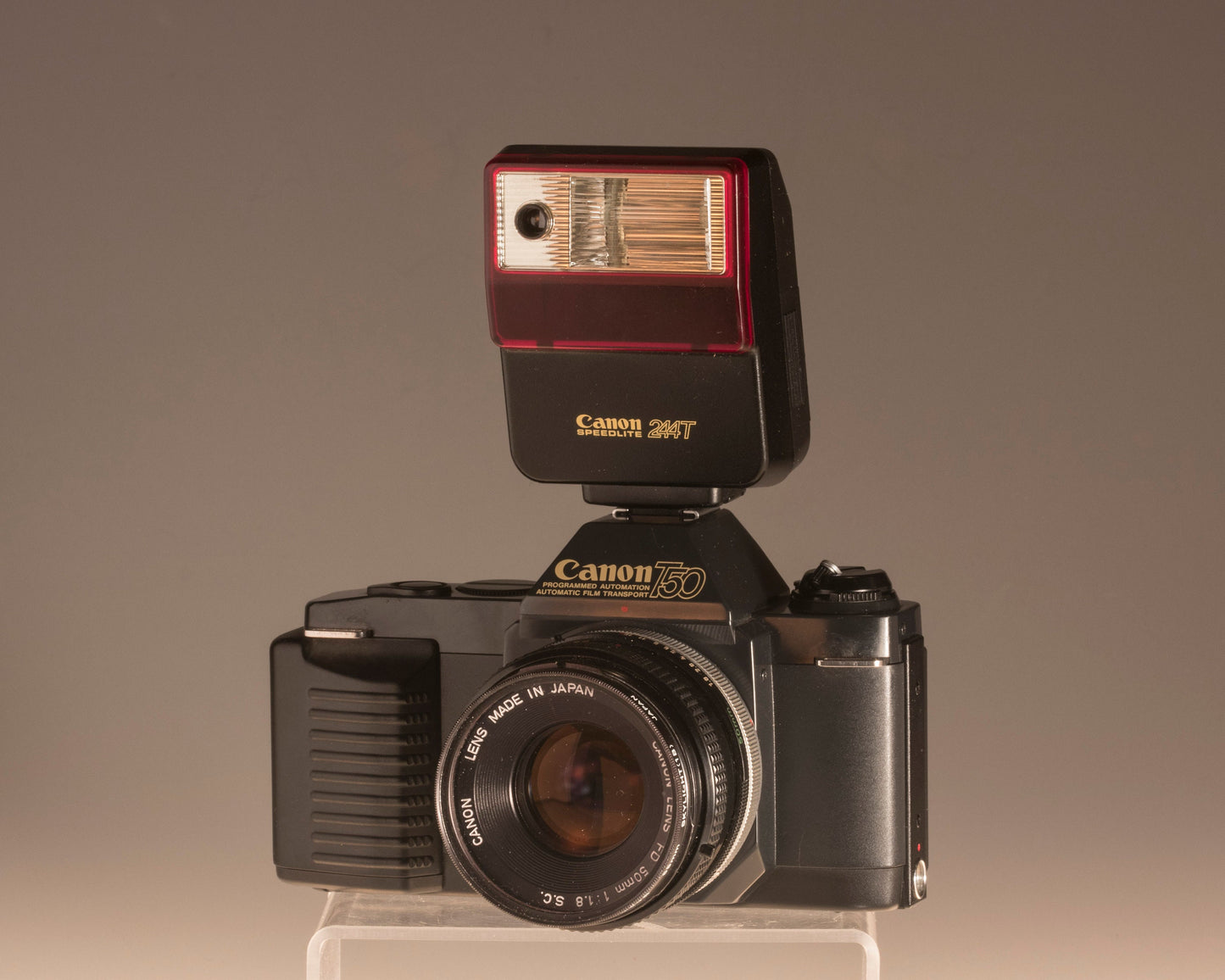 Canon T50 camera + Speedlite flash