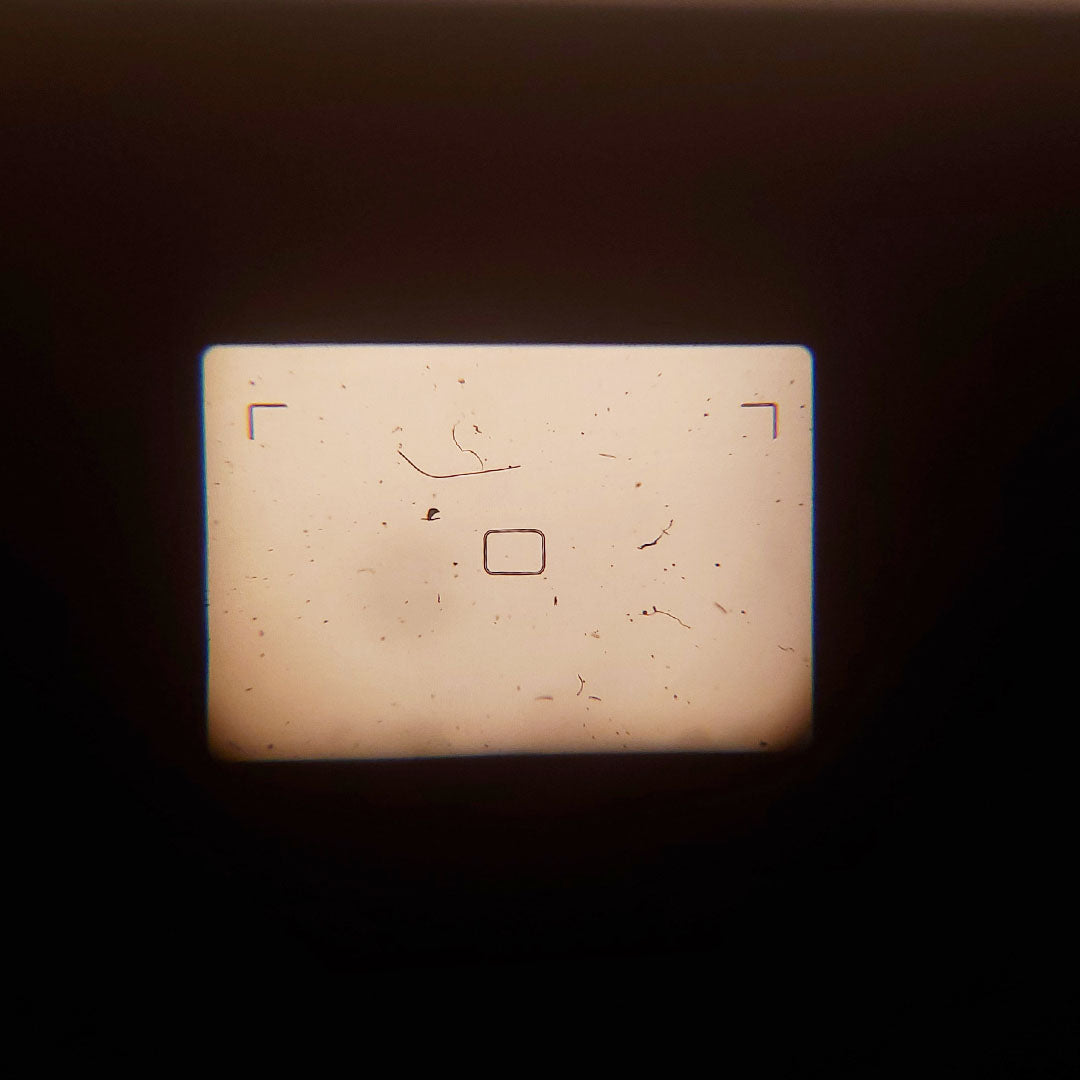 Olympus Mju-1 (a.k.a. Infinity Stylus) 35mm film camera (dusty viewfinder; but film-tested and working great)