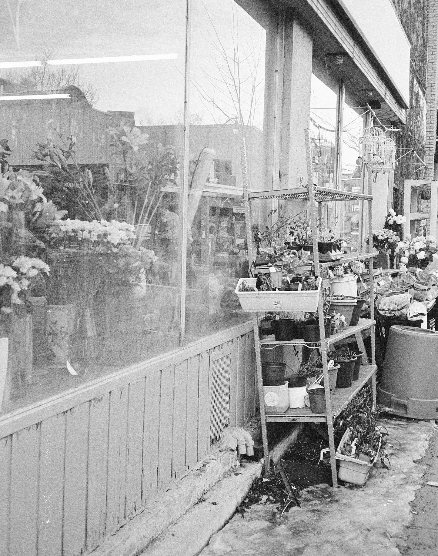 Appareil photo compact à film Canon AF35ML 35mm avec étui (série 1002701) | film🎞testé