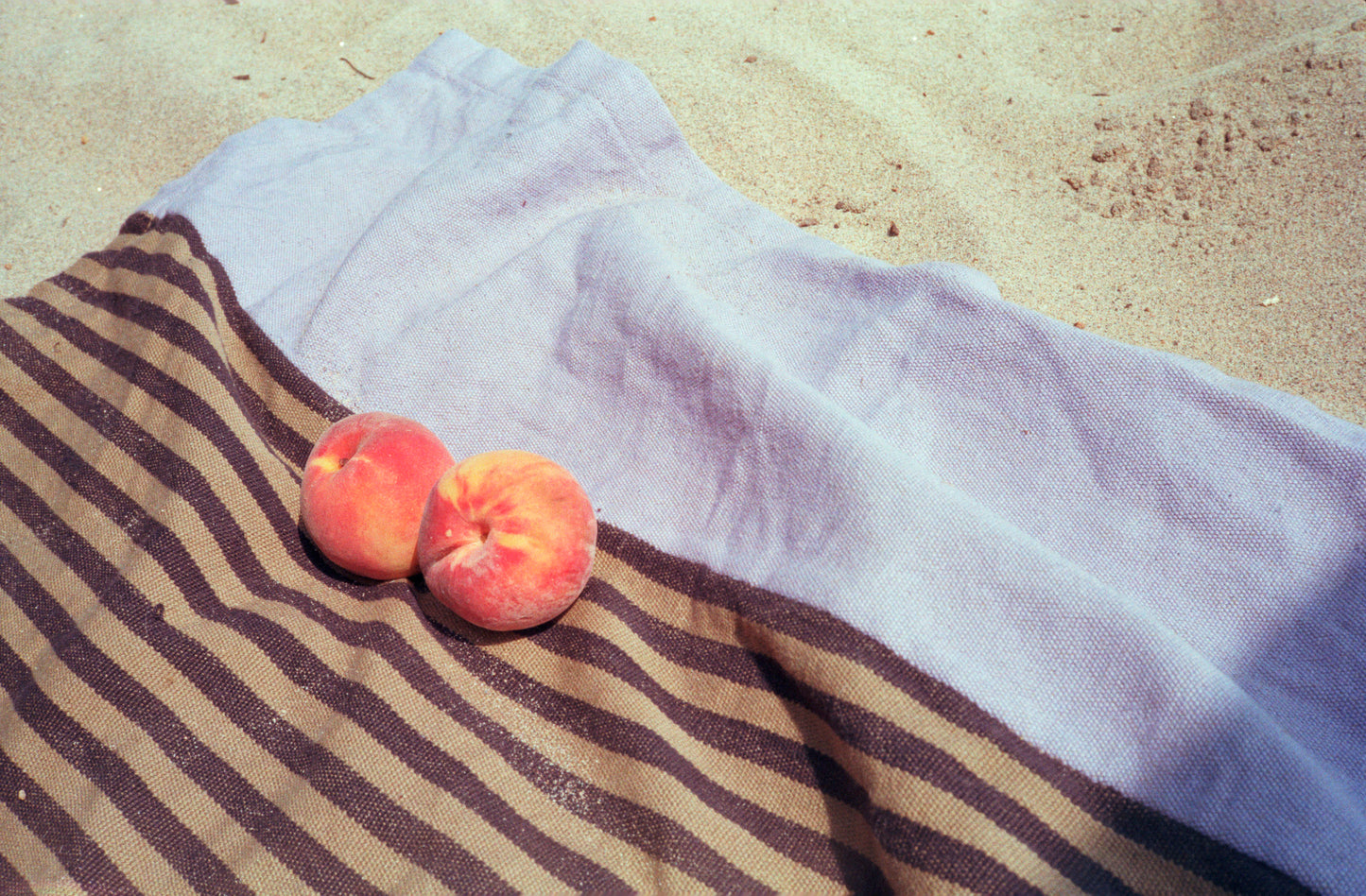 Appareil photo argentique Canon Sure Shot Max 35mm avec étui (série 75501992) | film🎞 testé