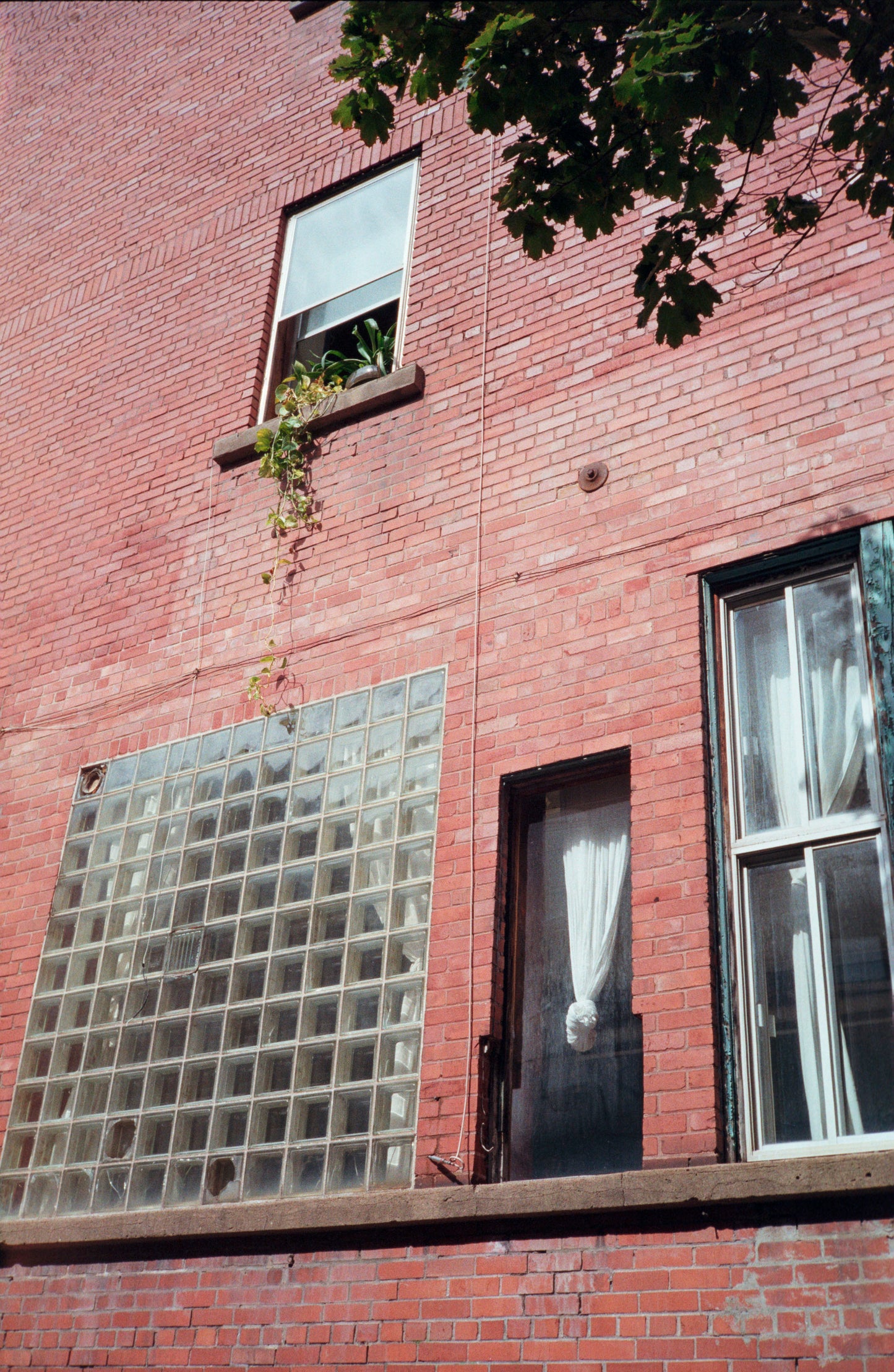 Appareil photo argentique Canon Sure Shot Max 35mm avec étui (série 75501992) | film🎞 testé