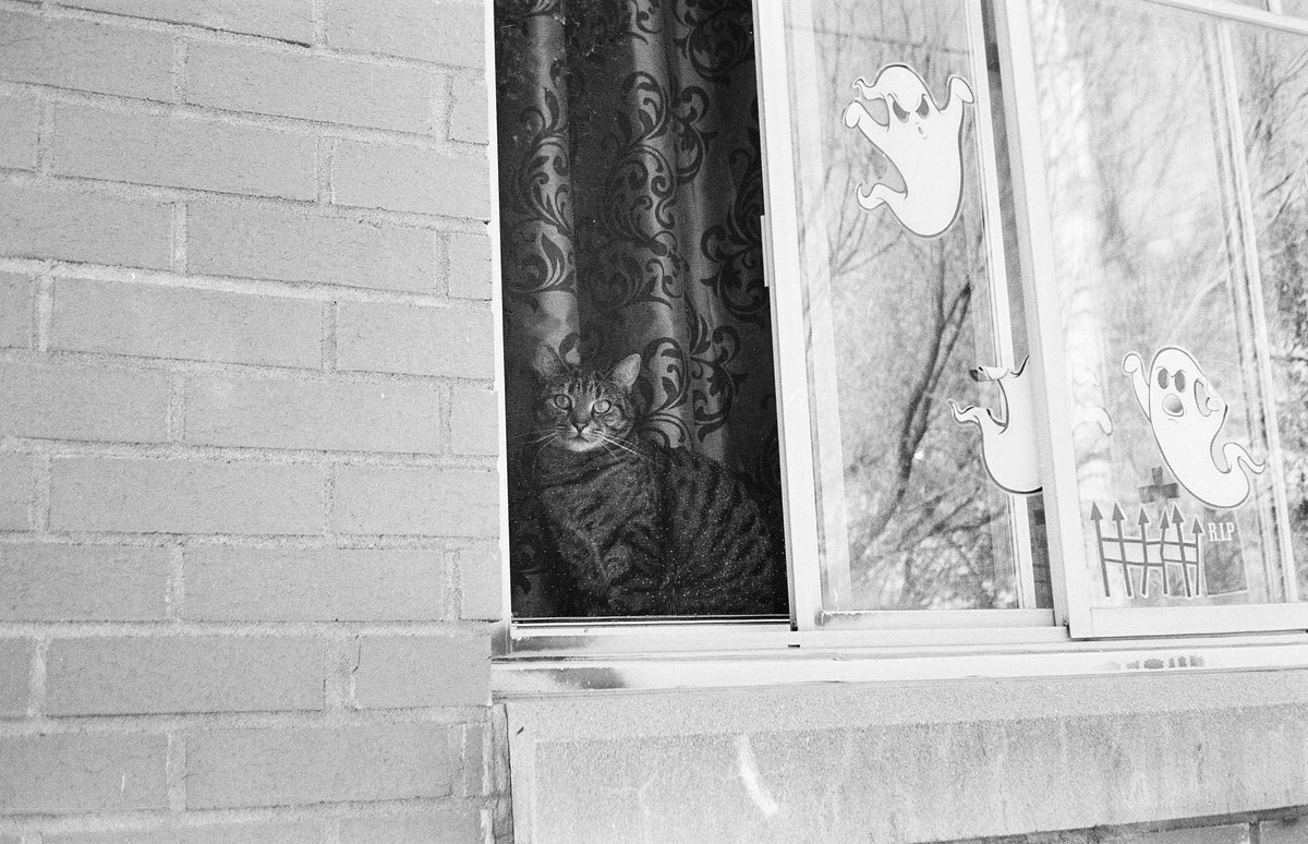 Appareil photo télémétrique 35 mm Canon Canonet 28 (numéro de série D94287) | pellicule 🎞 testée
