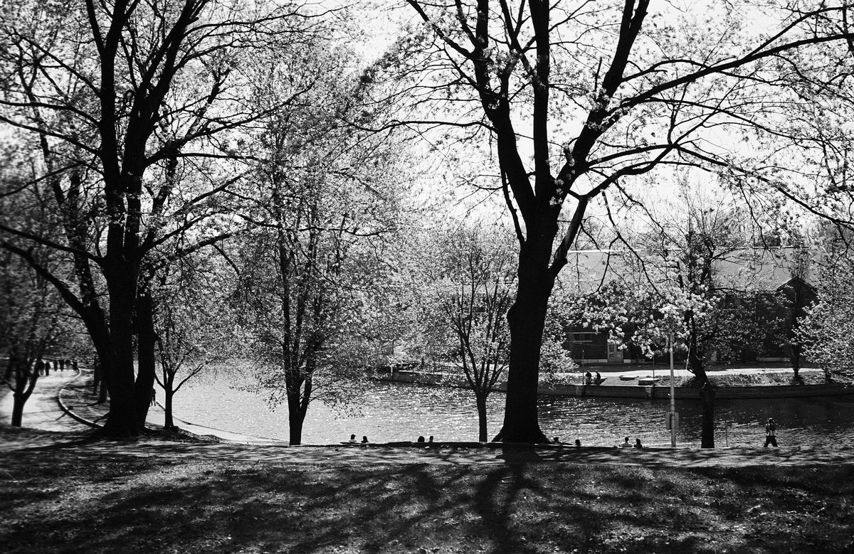 Appareil photo télémétrique 35 mm Canon Canonet 28 (numéro de série D94287) | pellicule 🎞 testée