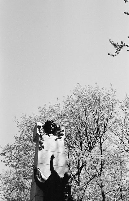 Appareil photo télémétrique 35 mm Canon Canonet 28 (numéro de série D94287) | pellicule 🎞 testée