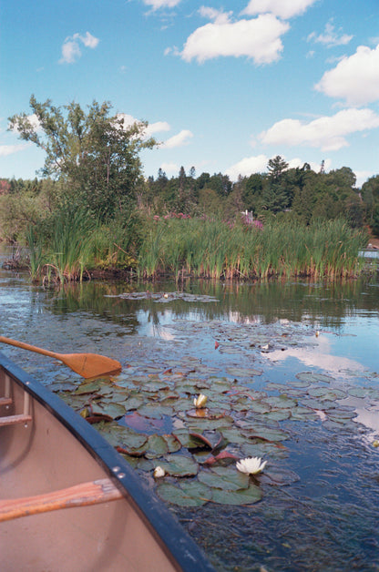 Appareil photo argentique Olympus ∞ Stylus Epic (également connu sous le nom de mju II) 35mm avec étui (numéro de série 7066234) | film🎞testé