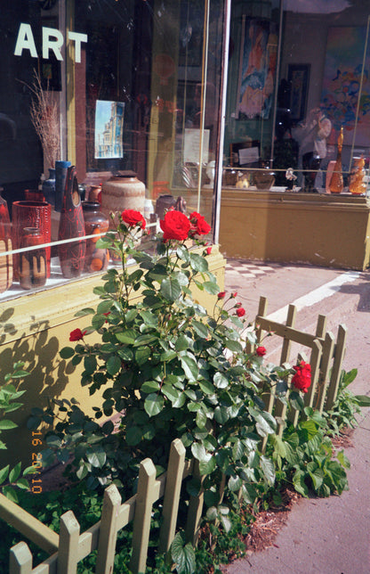 Olympus Stylus 105 35mm film camera (serial 4581354) | film🎞tested