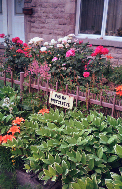 Olympus Stylus 105 35mm film camera (serial 4581354) | film🎞tested