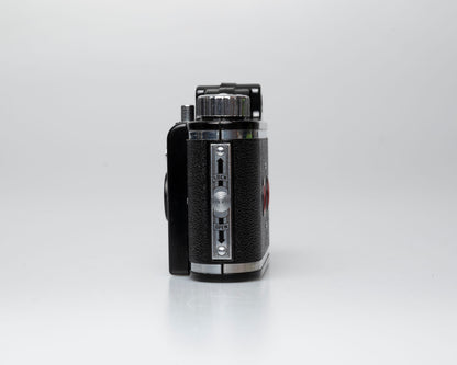 Whitehouse Beacon camera