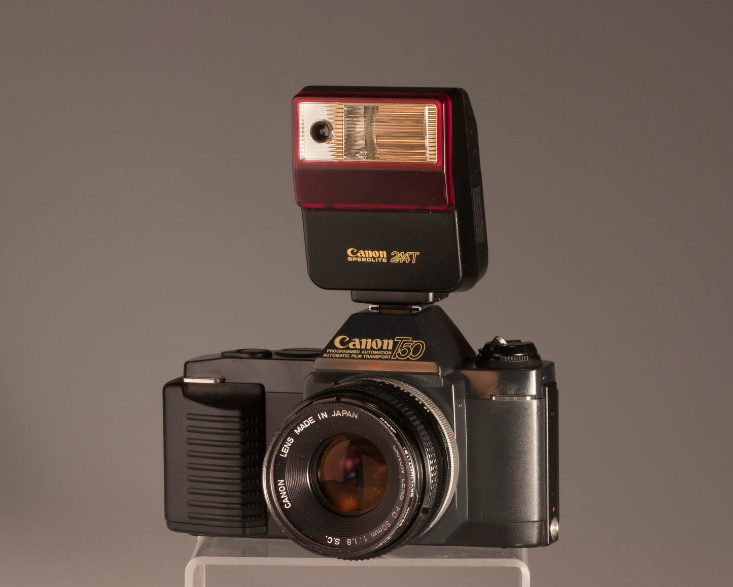 Canon T50 camera + Speedlite flash