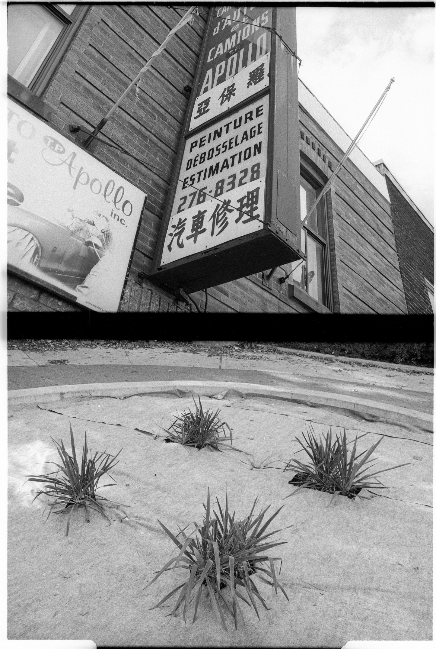 The Kyocera (Yashica) Samurai X3.0 half-frame 35mm SLR; test negative (showing two frames).  Ilford FP4 Plus film developed in HC110. Scanned with Nikon Coolscan V-ED.